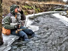 User submitted picture: ...Cup of Tea...