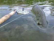 User submitted picture: Smile, please!