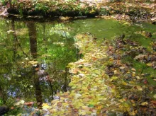 User submitted picture: Autums Reflection