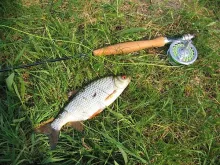 User submitted picture: Fieldtest with a 'wood-g...