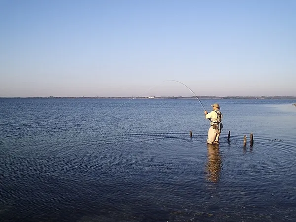 User submitted picture: Fighting a 62cm on a AFTM...