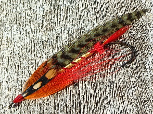 User submitted picture: A Salmon's Surprise