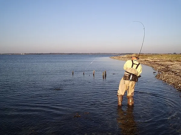 User submitted picture: The moment of truth...
R...