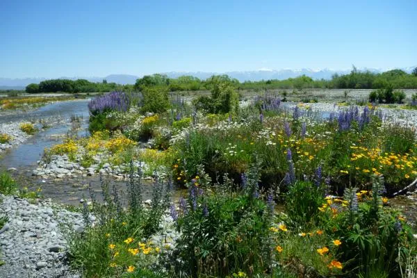 User submitted picture: Late Spring on the legend...