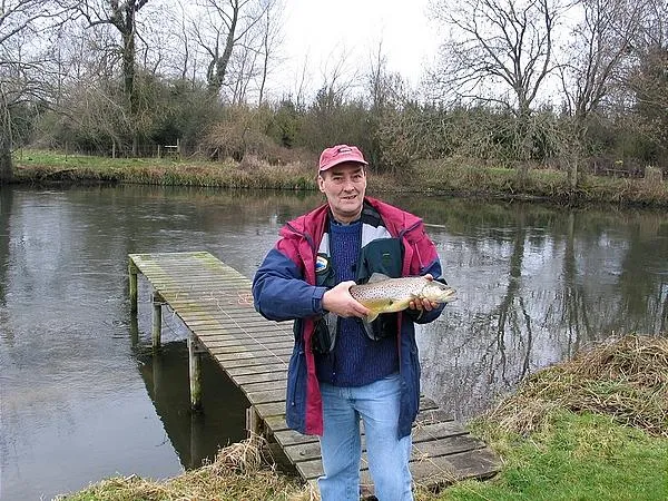 User submitted picture: Brown Trout caught on a s...